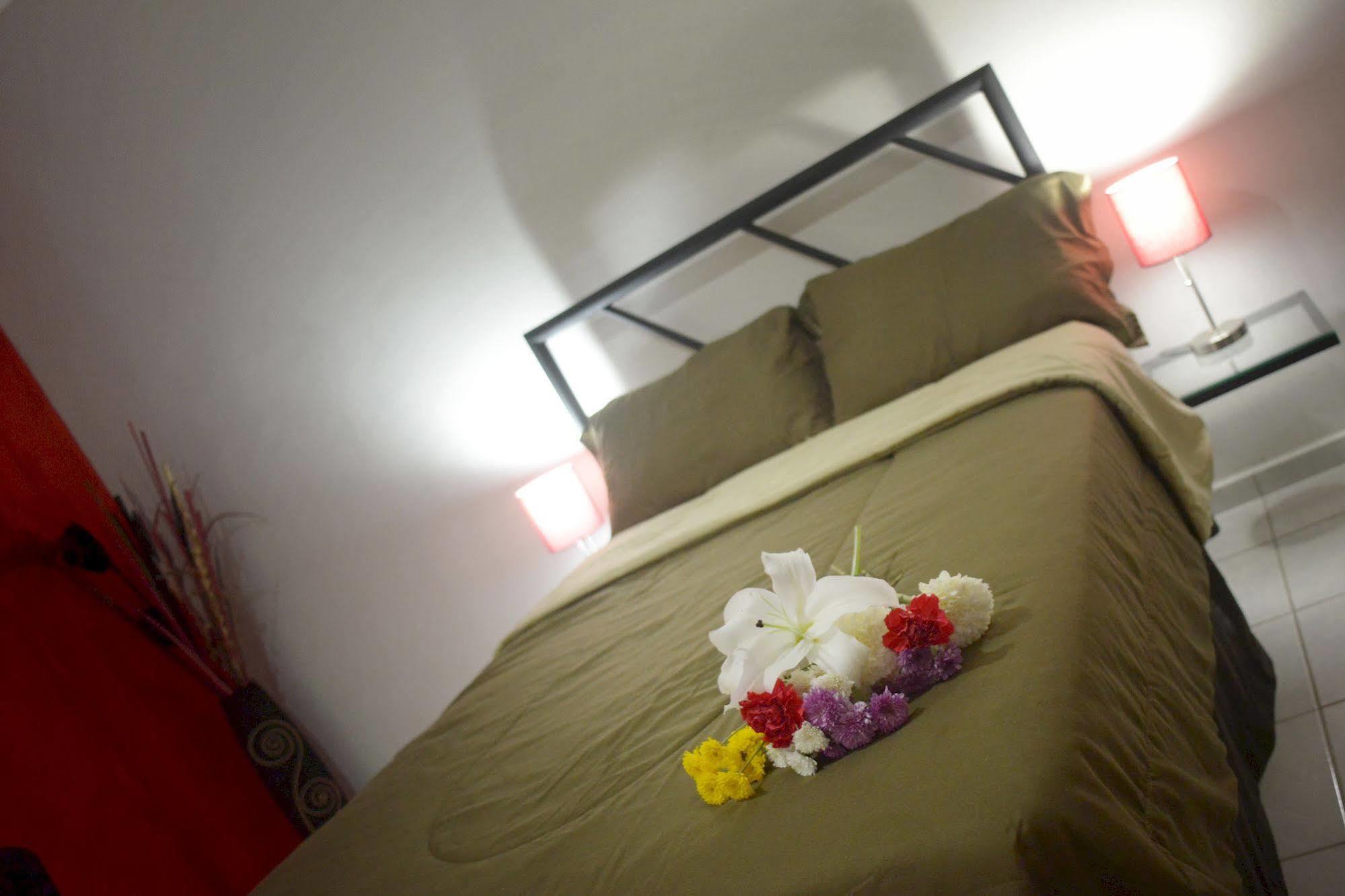Hotel Plaza Providencia Ixtapa  Eksteriør billede