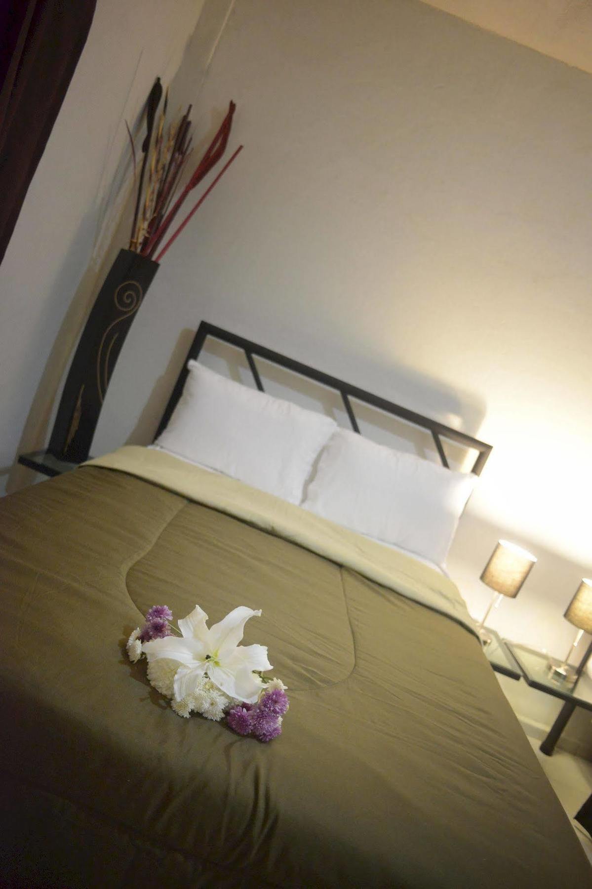 Hotel Plaza Providencia Ixtapa  Eksteriør billede